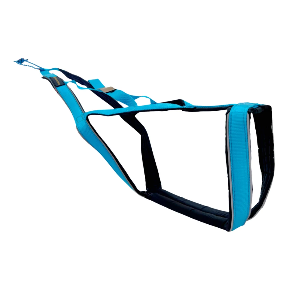 R-sele, Arctic Blue